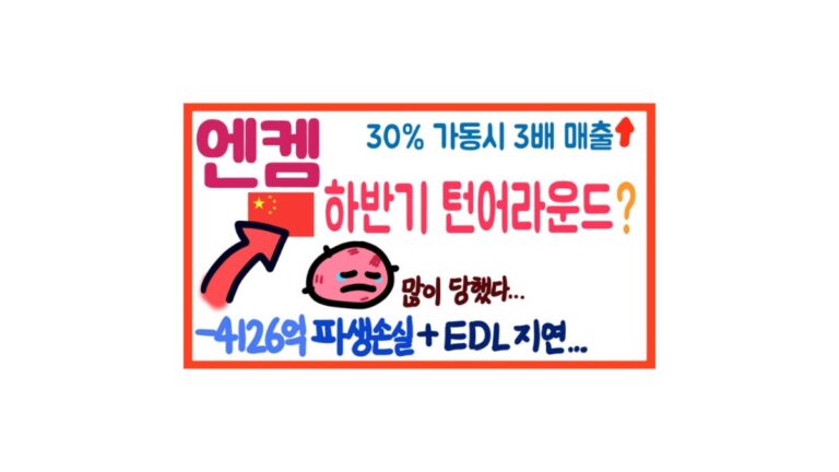 엔켐 투자 장단점 정리