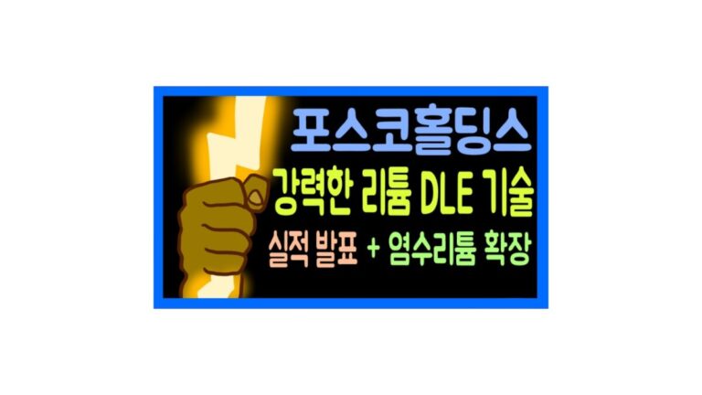 포스코홀딩스 실적발표 정리 & 염호 DLE기술