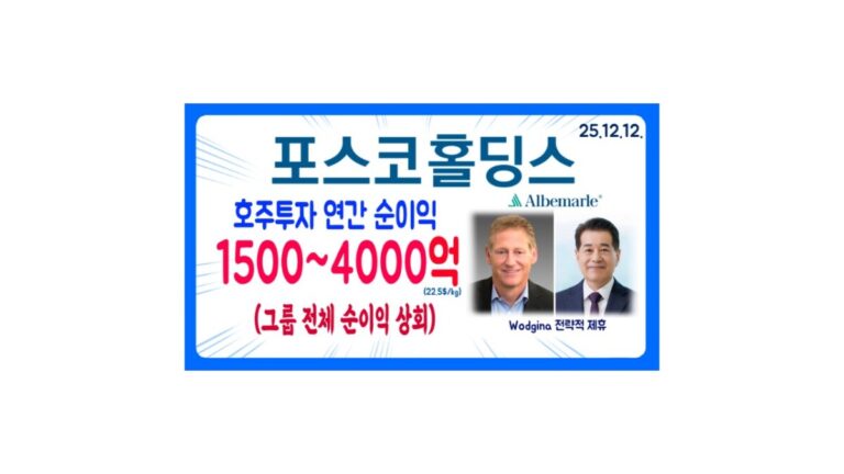 포스코홀딩스 PDF 분석자료 및 영상